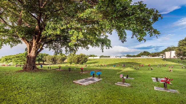 Funerarias en Bayamón
